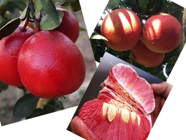 Khách sạn ở biển Hải Tiến